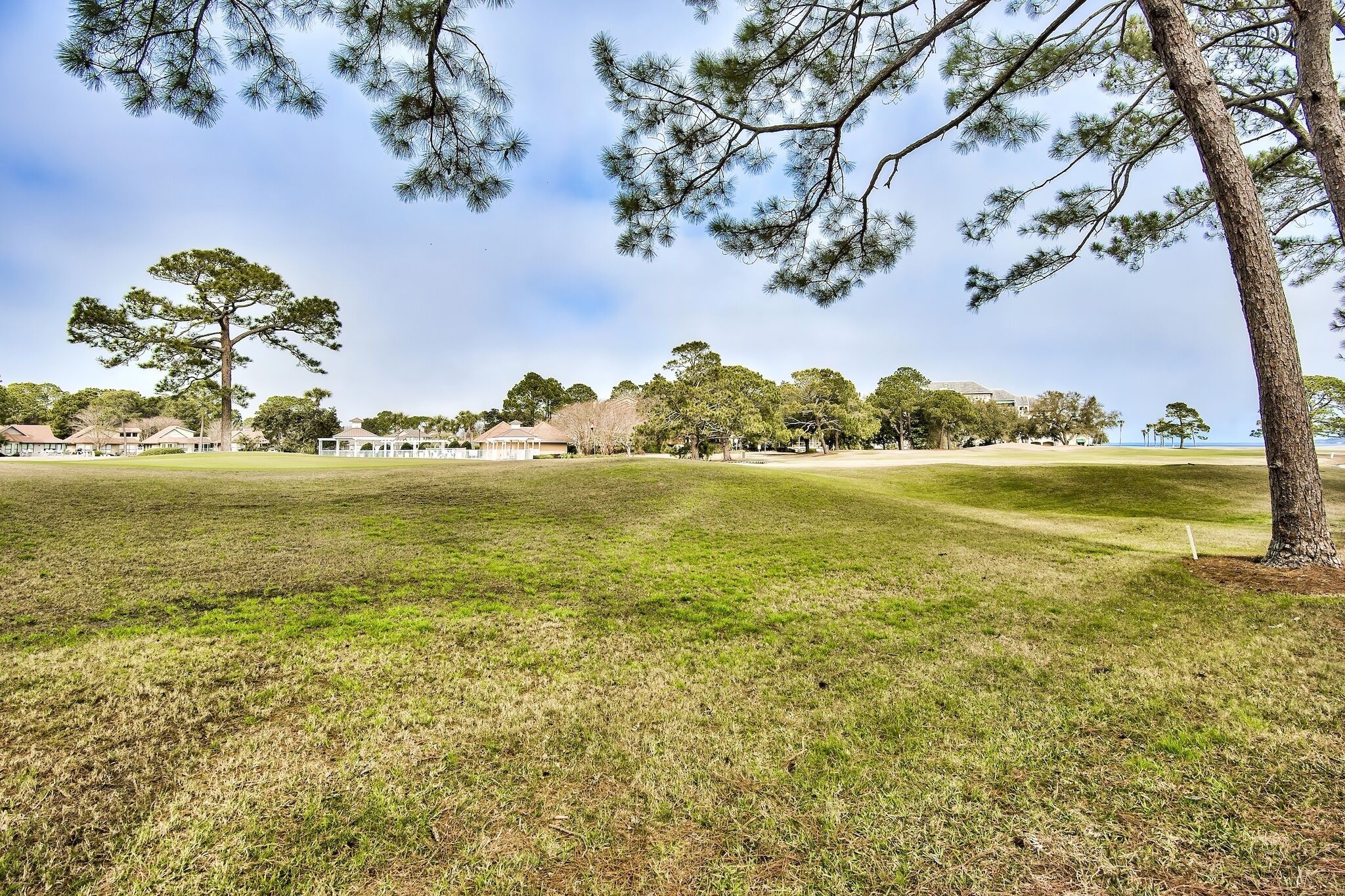 A grassy field with trees and houses in the background.