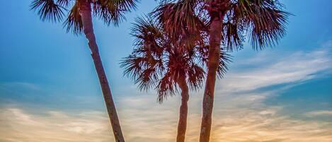 Resort Golf Sunset