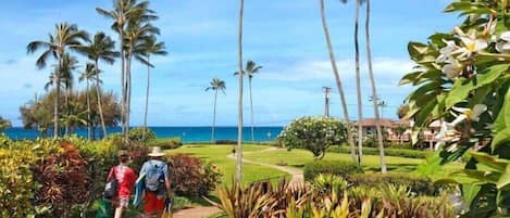 A pathway lined with palm trees and tropical plants leading to a building with a view of the ocean.