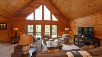 Smart-tv, pejs, dvd-afspiller