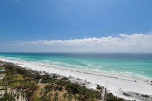 A beach with a clear view of the ocean, a sandy shore, and some palm trees. - Spacious 3-bed, 3-bath beachfront condo w/private balcony! (Destin)