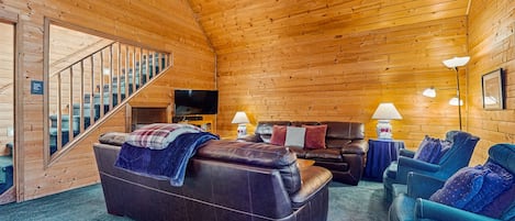 TV, fireplace, DVD player, video library