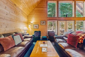 TV, fireplace, DVD player, video library