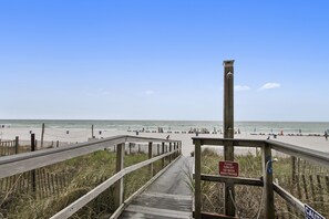 On the beach