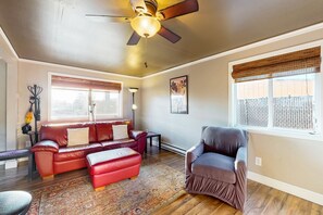 TV, fireplace, books