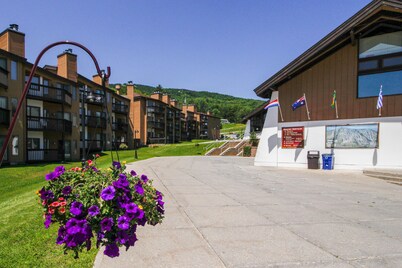 Ski-in/out mountainside condo close to everything with full kitchen - tranquil