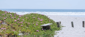 Adorable Cozy Studio