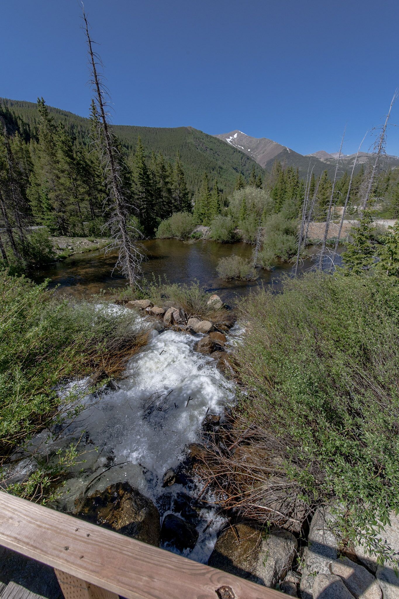 A river flowing through a forested area with mountains in the background.