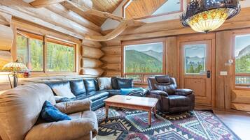 TV, fireplace, video game console, DVD player