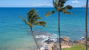 A coastal view with clear blue water, rocky shoreline, and palm trees.