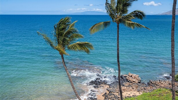 A coastal view with clear blue water, rocky shoreline, and palm trees.