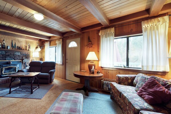 TV, fireplace, DVD player, books