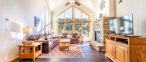 Televisión, chimenea y reproductor de DVD