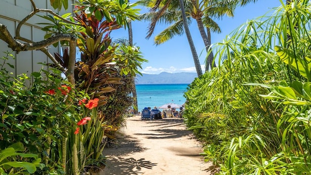 A pathway leading to a beach with palm trees and tropical plants. - Aloha Condos, Napili Bay Resort, Condo 217, Beach View (Lahaina)