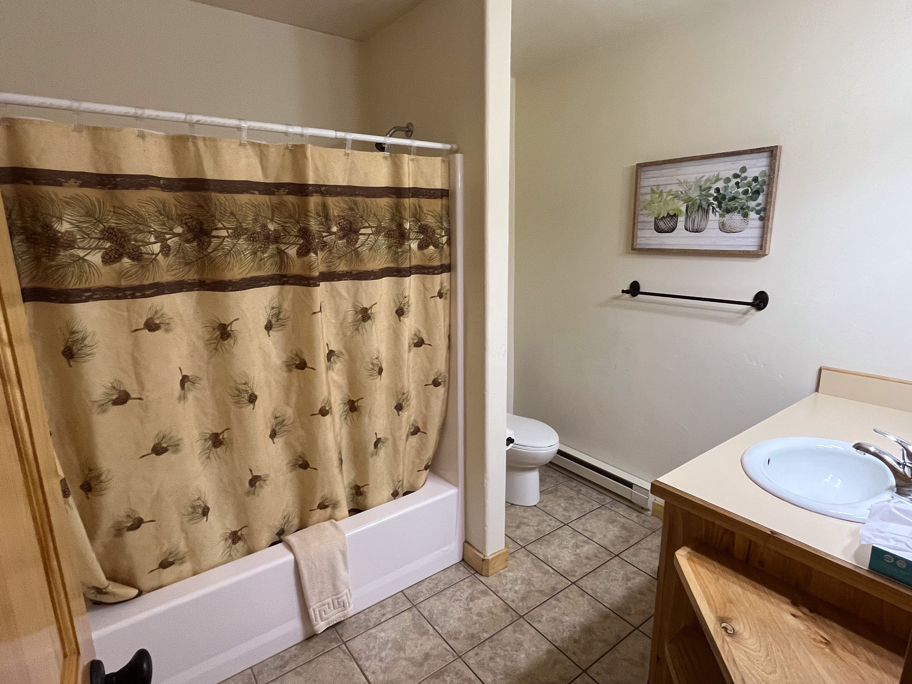 Une salle de bain avec un rideau de douche, des toilettes, un lavabo et un tableau encadré au mur.