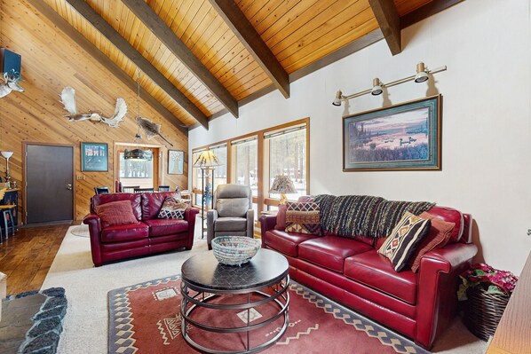 TV, fireplace, books, stereo