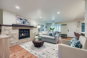 Fireplace, video games, DVD player, books