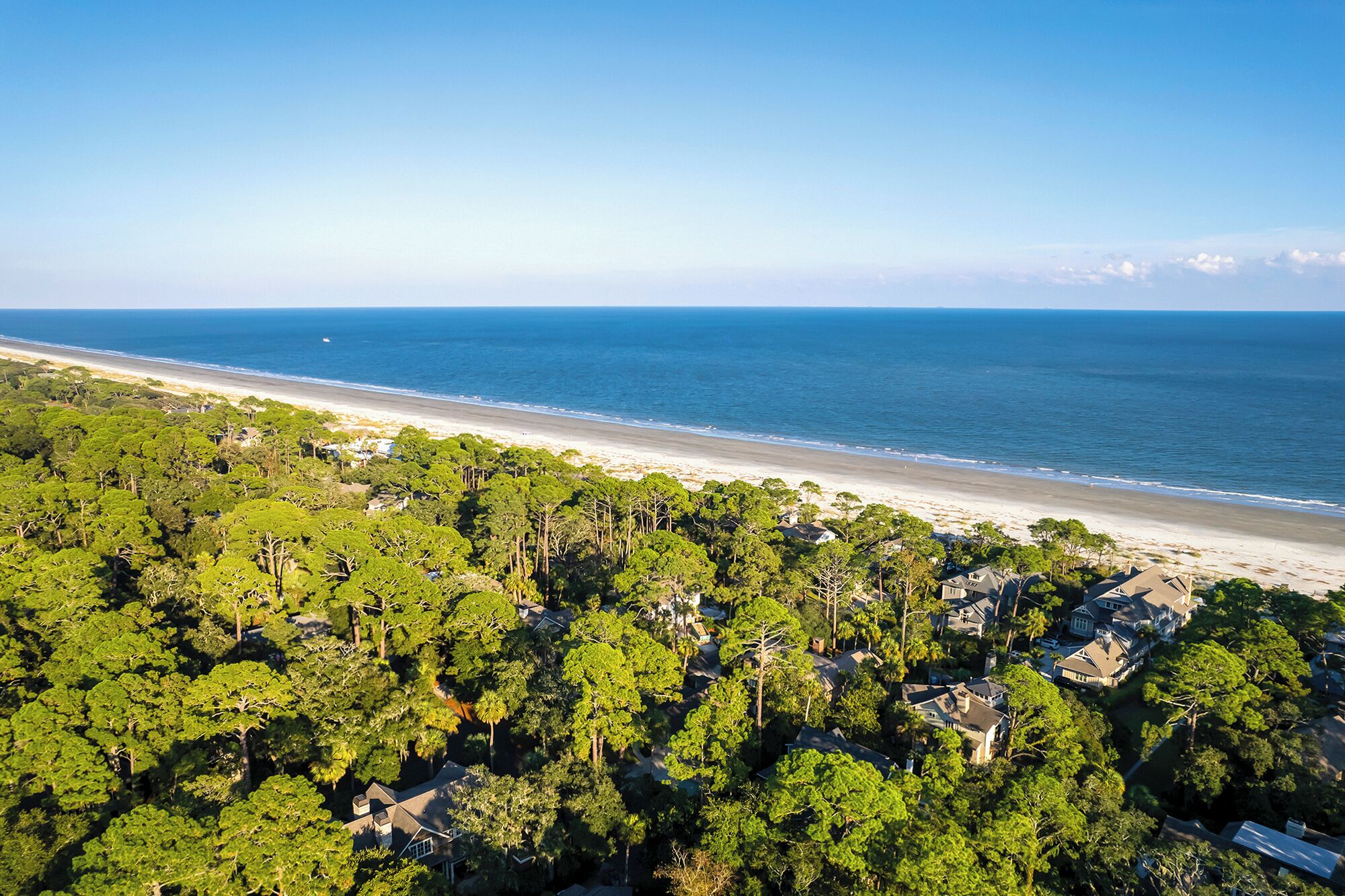 An aerial view of a coastal area with dense greenery and a beach.