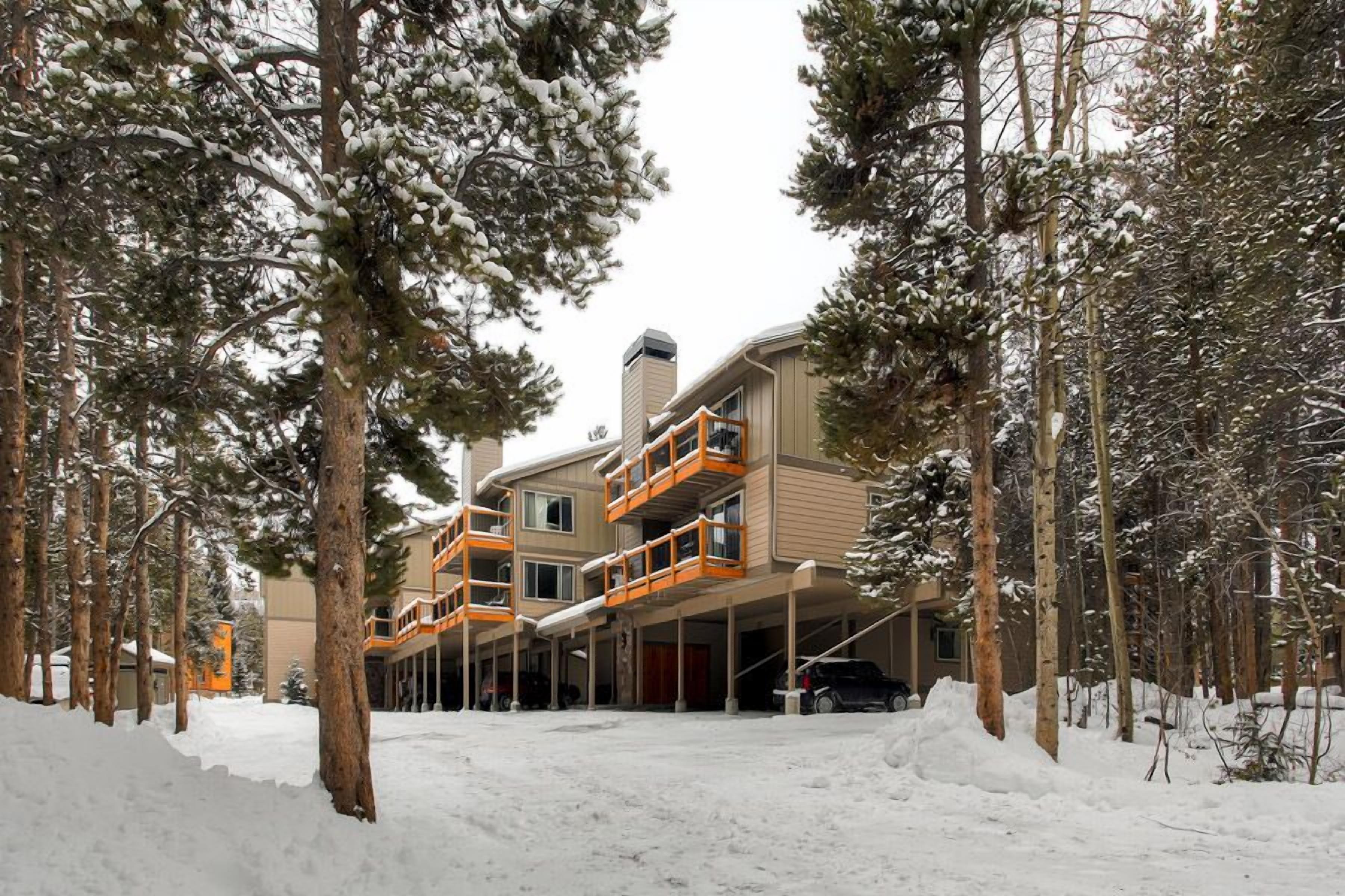 Un immeuble à plusieurs étages doté de balcons, entouré d’arbres couverts de neige.