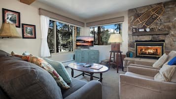 TV, fireplace, DVD player