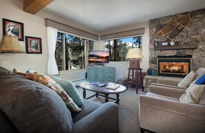 TV, fireplace, DVD player - Timbernest Blue Spruce Condo: Sweet Breck Location (Breckenridge)