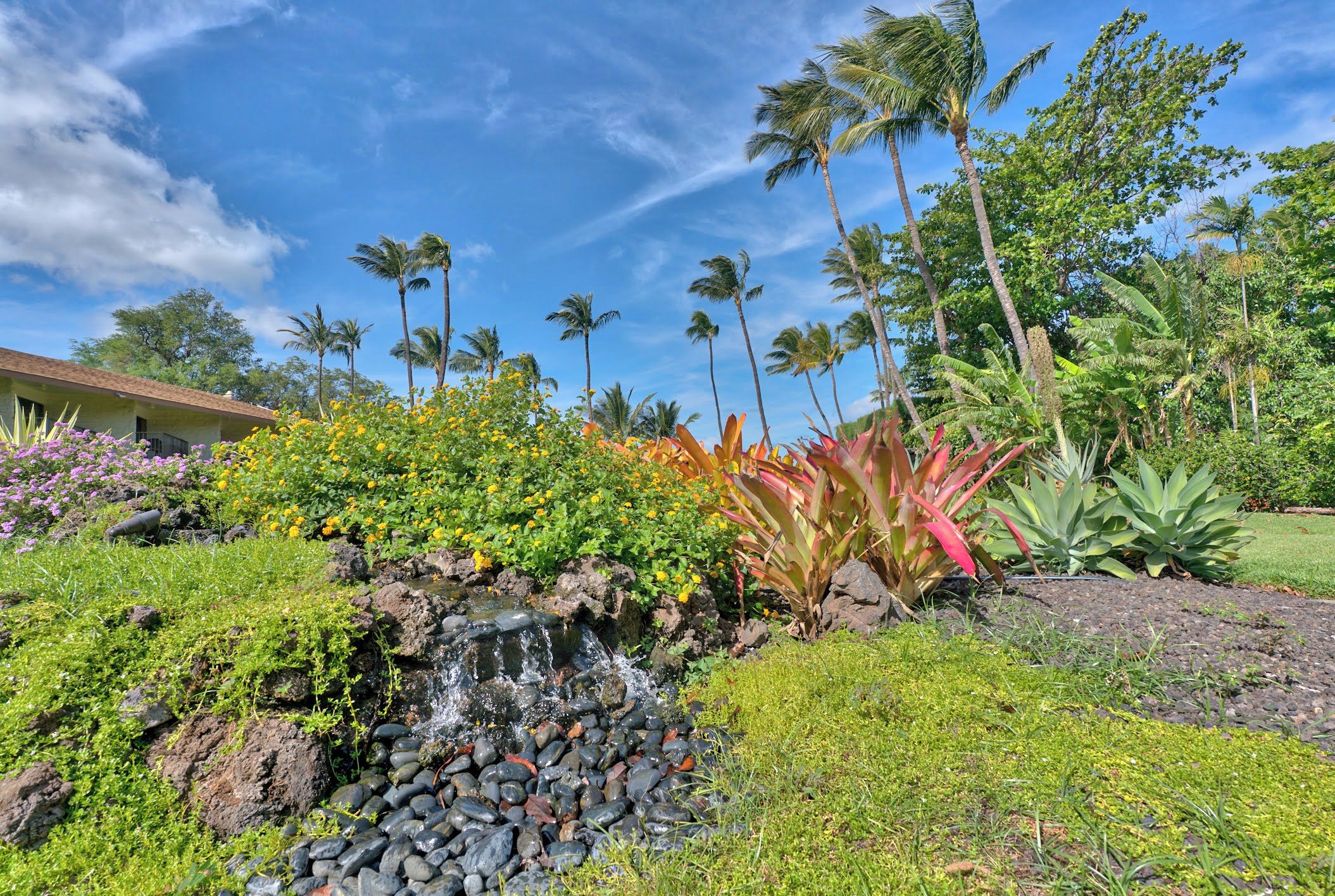 Un jardin tropical agrémenté d’une petite cascade, de palmiers et de diverses plantes aux couleurs vives.