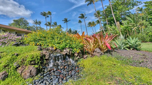 Um jardim tropical com uma pequena cascata, palmeiras e diversas plantas coloridas.