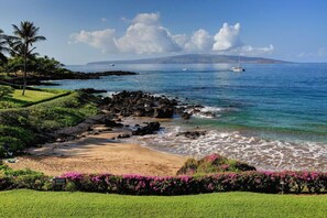 Plage, chaises longues, serviettes de plage