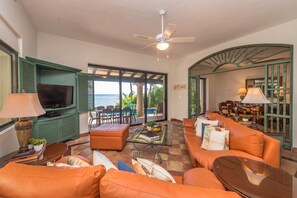 TV, DVD player, books