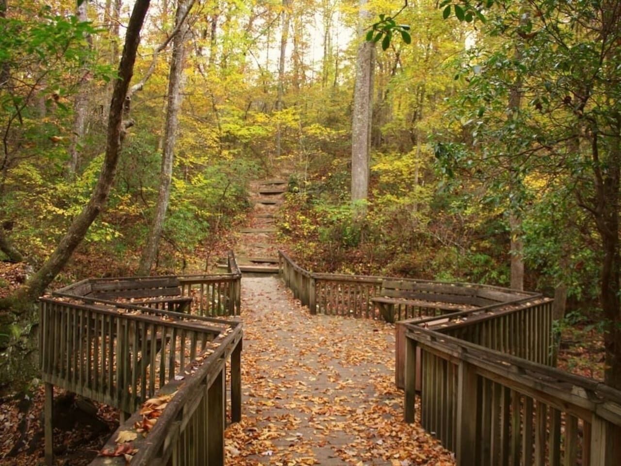 Overnatningsstedets område