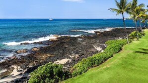 A coastal view with a rocky shoreline, a grassy area, and a clear blue sky.