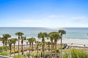 A beach view with palm trees, a sandy shore, and a clear blue sky.