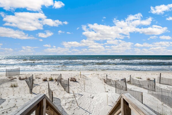 On the beach - Just Coastin: Beachfront Home on the North Cape- Pet Friendly! (Cape San Blas)