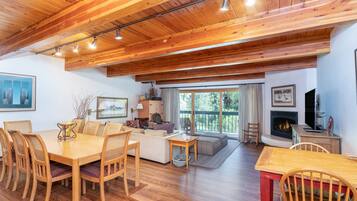 TV, fireplace, DVD player, books