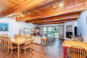 TV, fireplace, DVD player, books