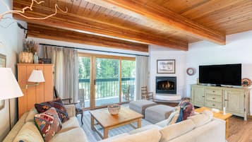 Televisión, chimenea, reproductor de DVD, libros