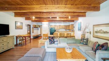 Televisión, chimenea, reproductor de DVD, libros