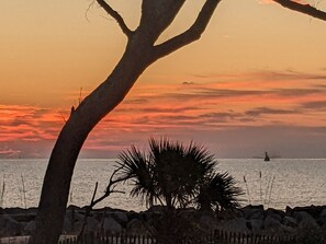 Vista de la platja o del mar