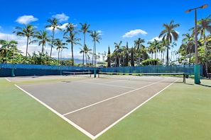 Una cancha de tenis con una red, rodeada de palmeras y un cielo azul despejado.