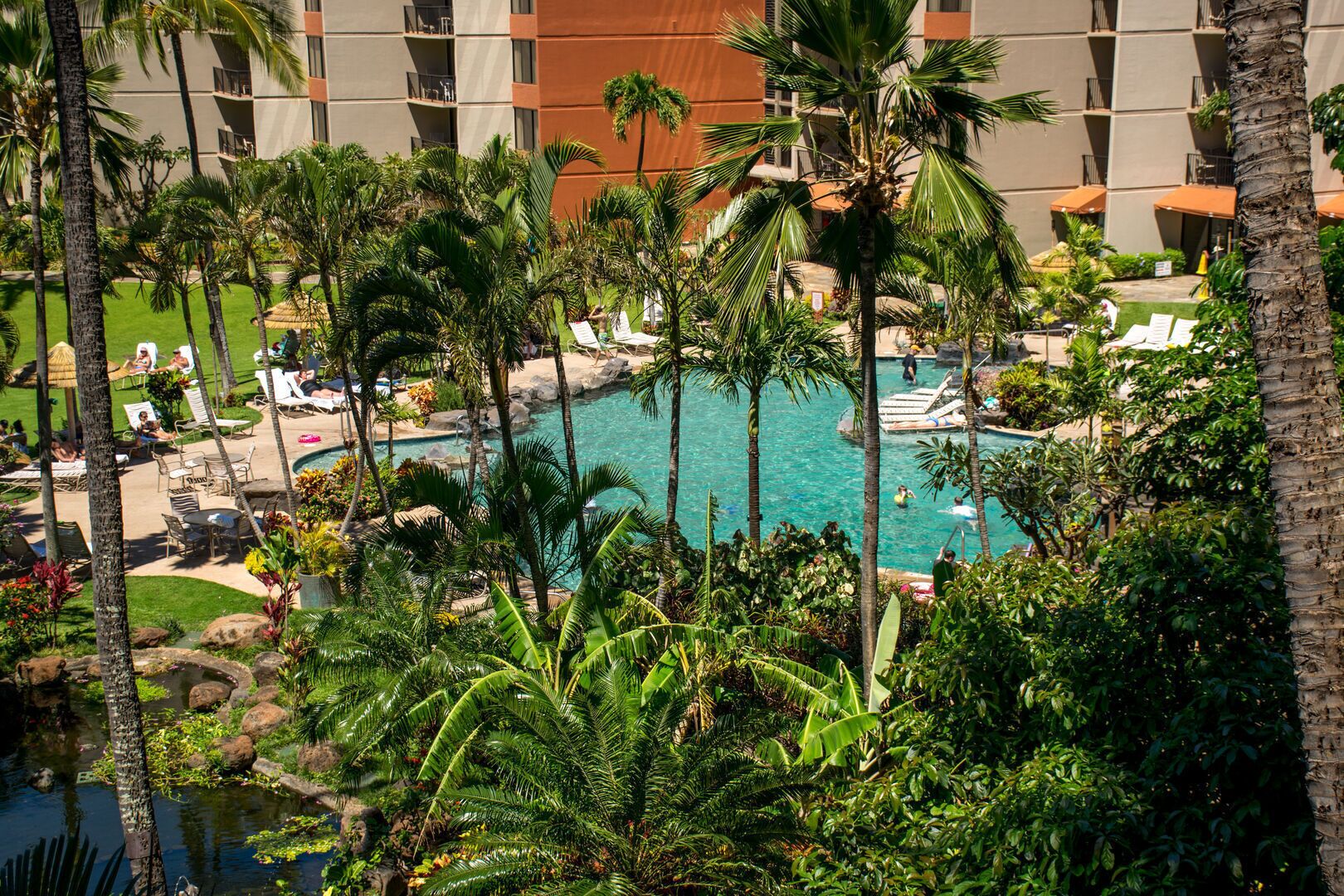 Una piscina rodeada de palmeras y sillas de descanso, con un edificio al fondo.