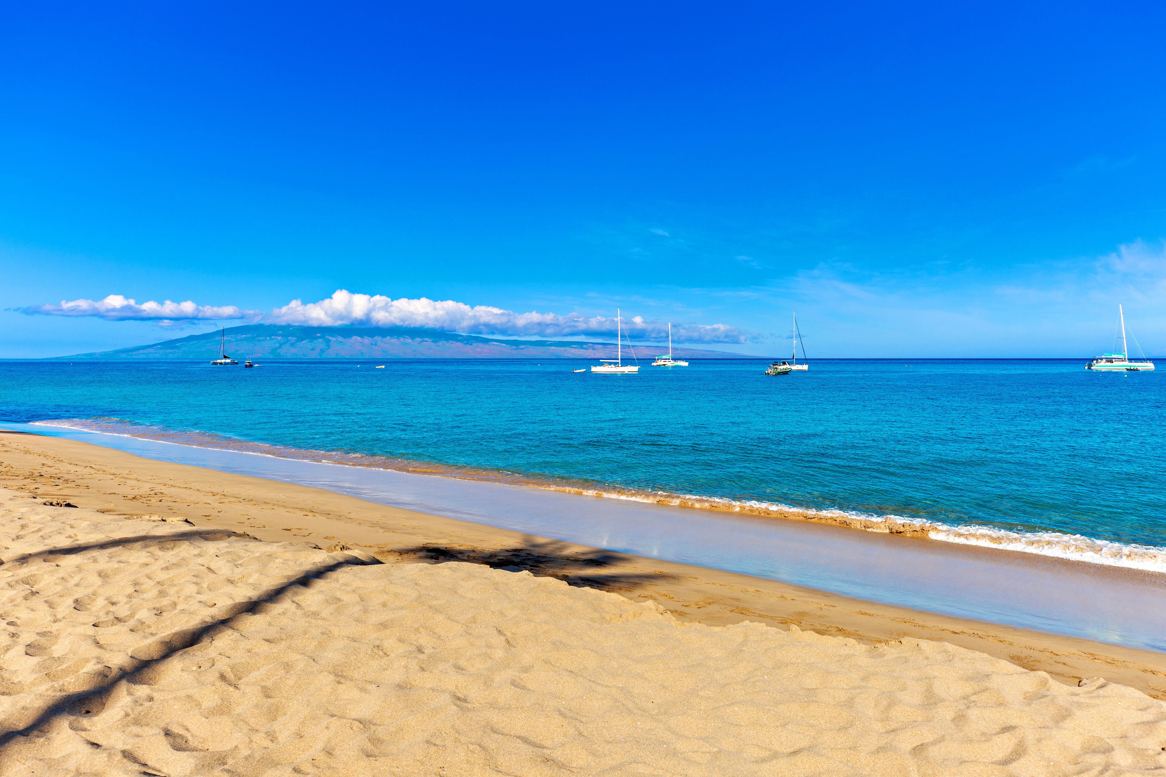 A beach with clear blue water, a sandy shore, and several sailboats.