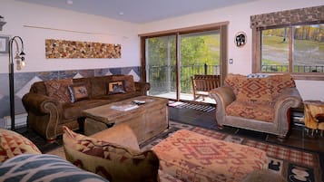 Télévision, cheminée, lecteur de DVD, espaces bureaux