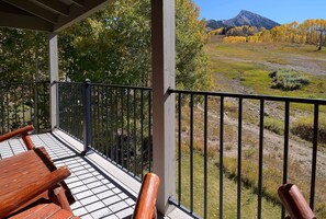 Property grounds - Whetstone Vista- Beautiful 2 Br ski in/out,hot tub (Mt. Crested Butte)