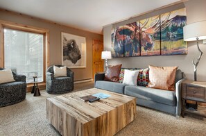 TV connectée, cheminée, lecteur de DVD