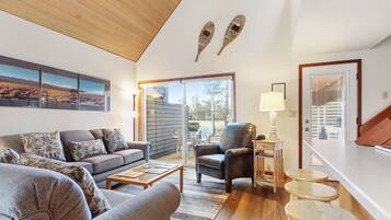 TV, fireplace, DVD player, books