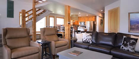 Télévision, cheminée, lecteur de DVD, espaces bureaux