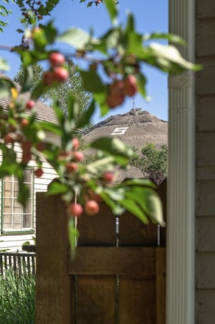 Property grounds. Dog Friendly- Salida Bungalow - Cute In-Town Home!