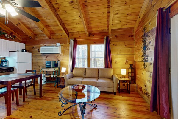 TV, fireplace, DVD player, stereo