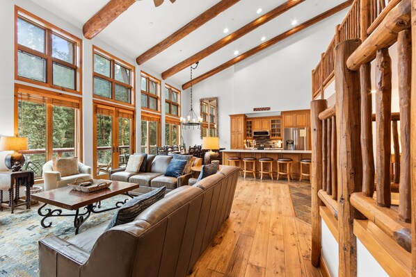 TV, fireplace, DVD player