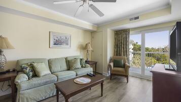 TV, lareira, DVD player, livros